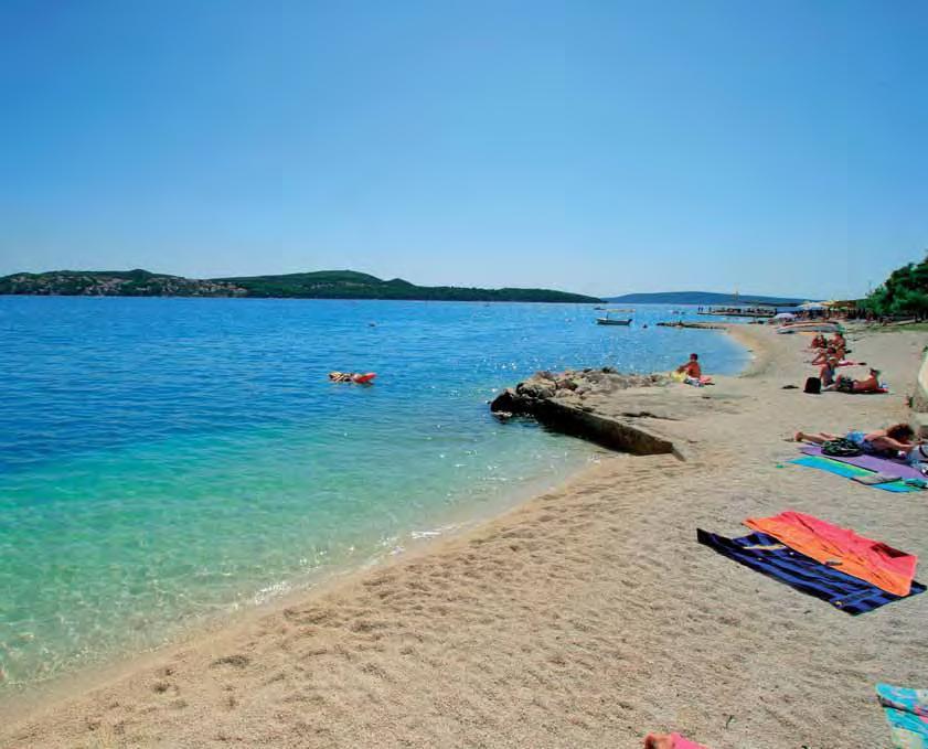 Vito Trogir